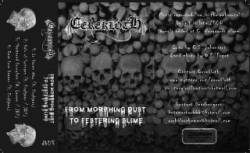 Cerekloth : From Morphing Dust to Festering Slime